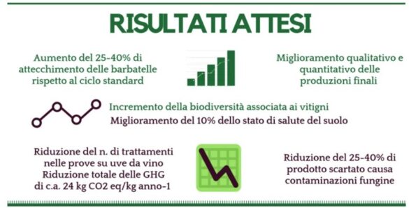 Científicos europeos crean un protocolo para reducir el uso de químicos