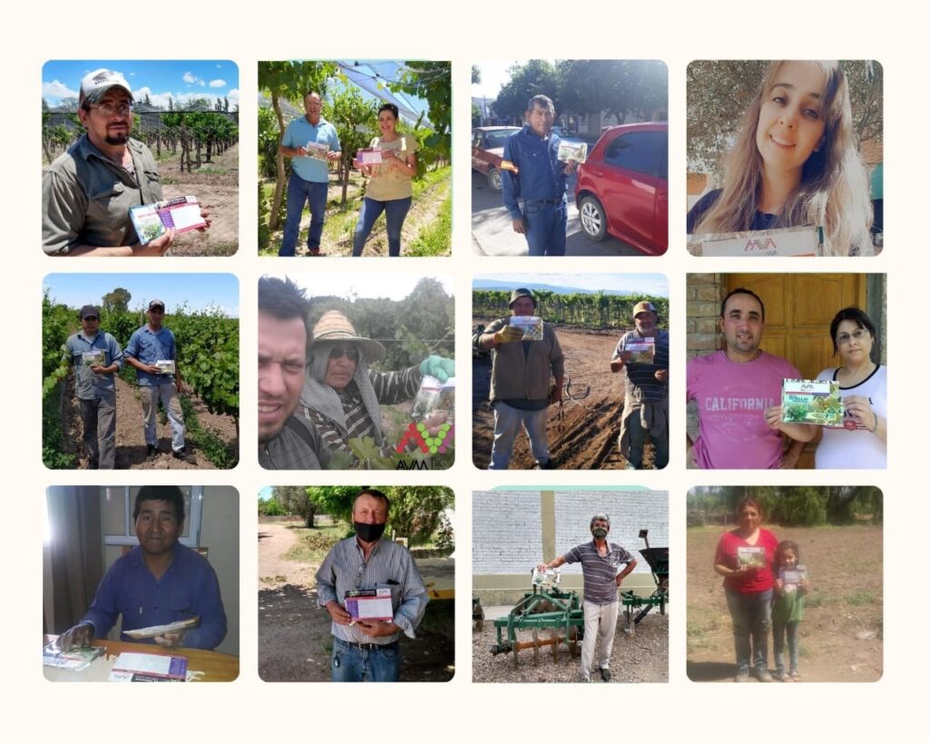 Ayuda económica inteligente: la AVM entregó semillas de hortalizas a 1.000  familias de viñateros | ENOLIFE | La vida del vino