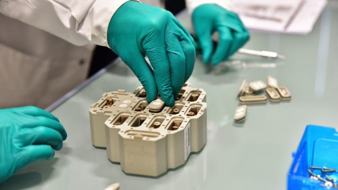 Investigadores del proyecto CANES estudian latas de vid cultivadas en la ISS en 2020