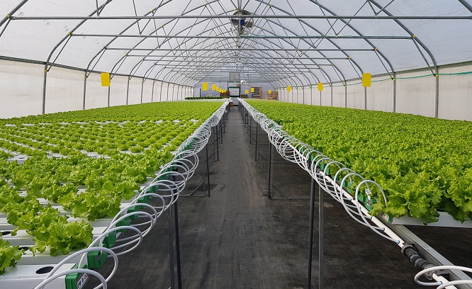 TAPKIT: a 500m2 self-assemble hydroponic greenhouse